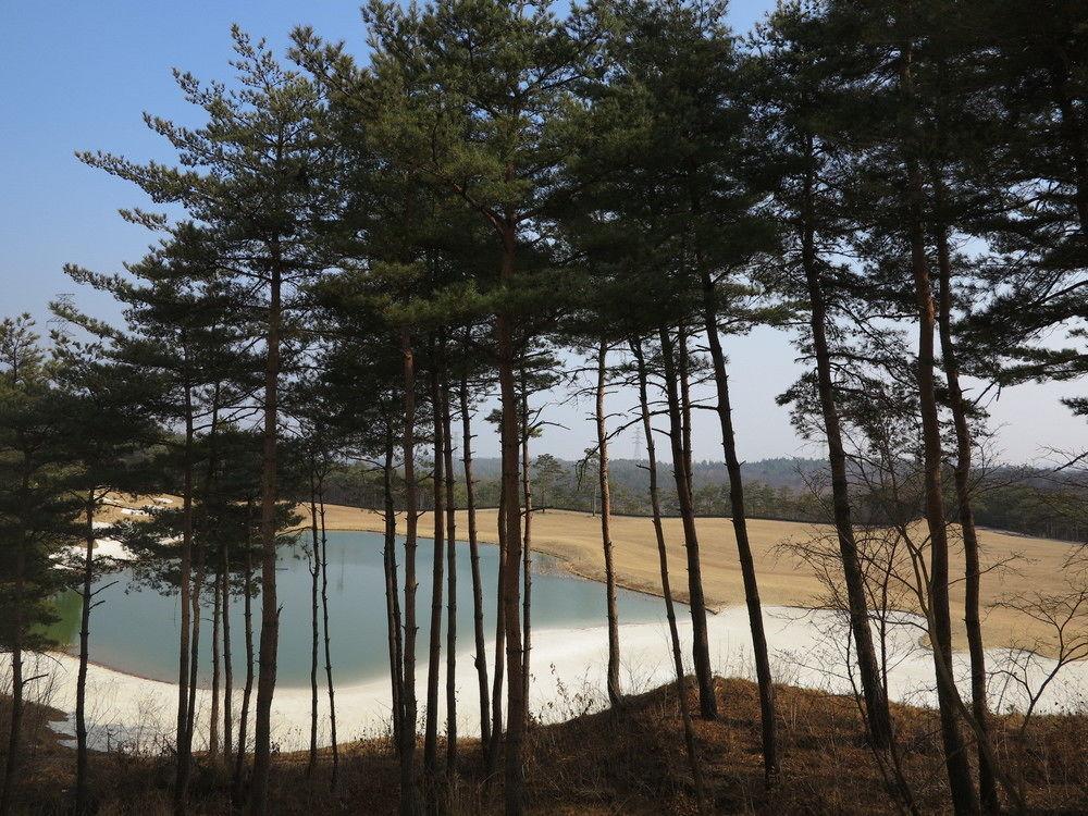 Pineridge Hotell Sokcho Eksteriør bilde